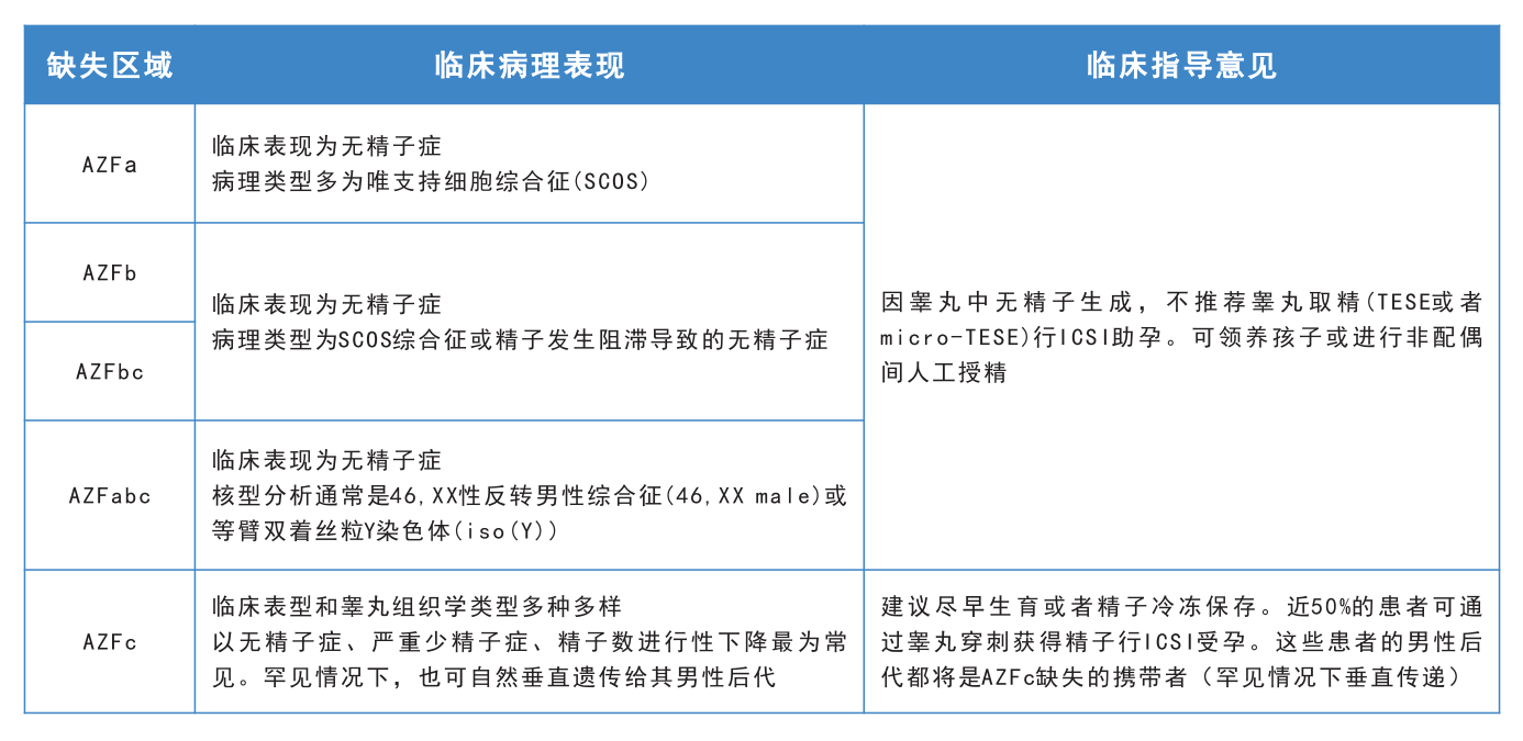 Y缺2.png