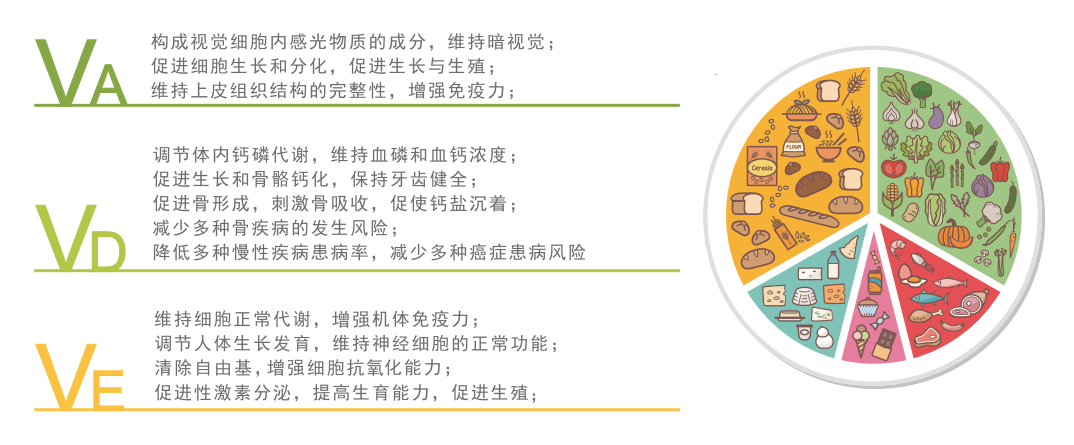 维生素1.png