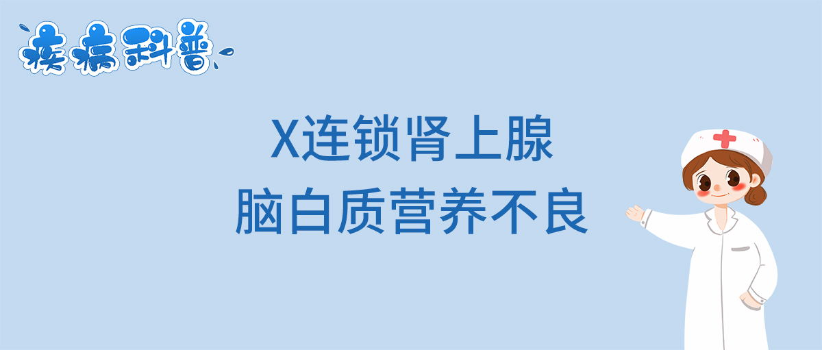 X连锁肾上腺脑白质营养不良_看图王.jpg