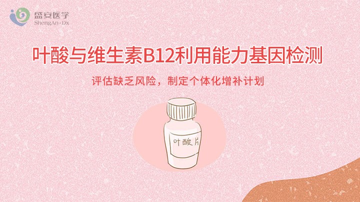 项目头图-叶酸基因检测.jpg